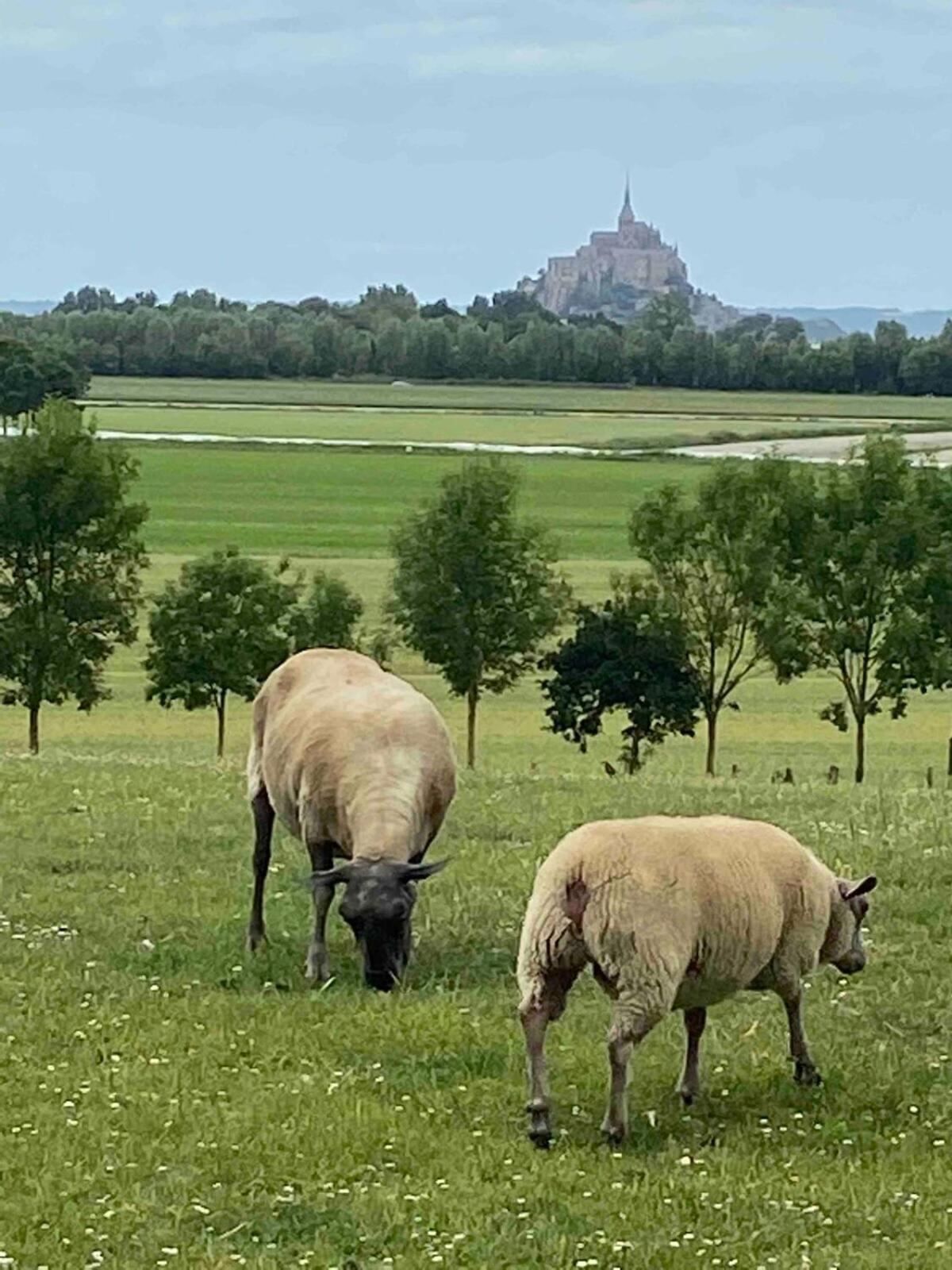 Gites Le Mont Desclos Saint Michel Beauvoir  Oda fotoğraf